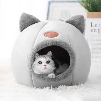 Pet Products