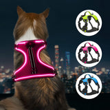 LED Dog Harness- Durable Light up Dog Harness, Reflective Dog Harness Light, Adjustable LED Dog Coat for Small, Medium and Large Dogs (Large, Pink)